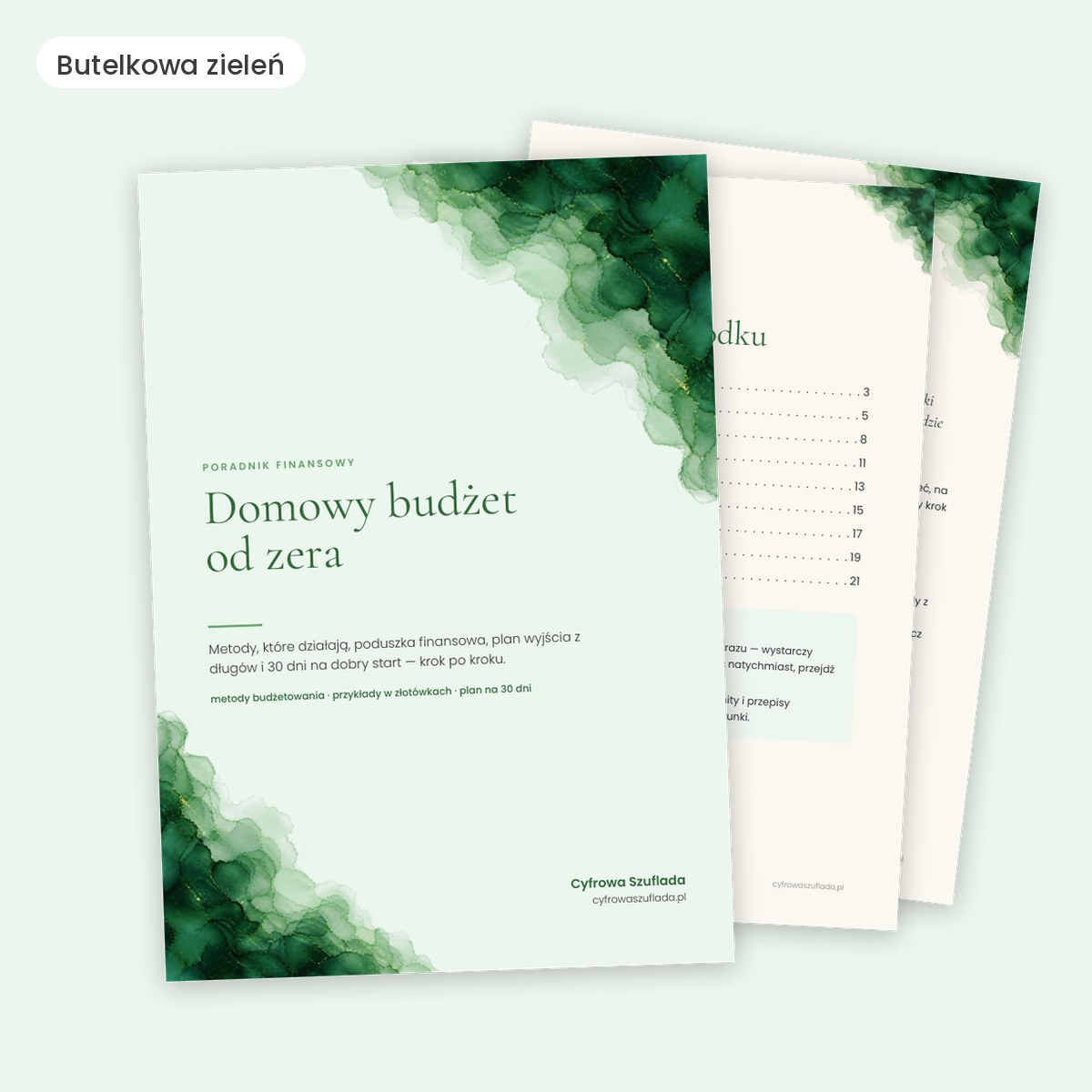 Domowy budżet od zera — poradnik z planem na 30 dni (e-book) — przykładowy motyw