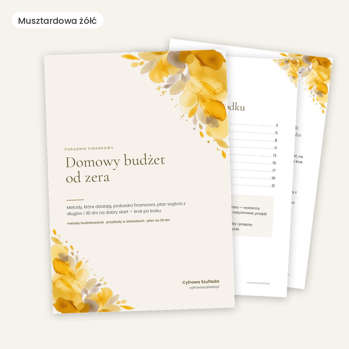 Domowy budżet od zera — poradnik z planem na 30 dni (e-book) — przykładowy motyw