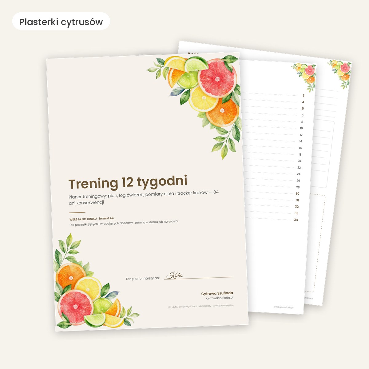 Planer treningowy 12 tygodni
