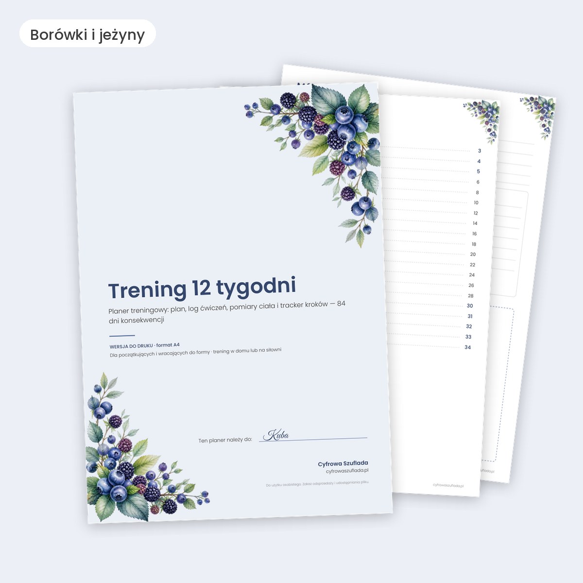 Planer treningowy 12 tygodni — przykładowy motyw